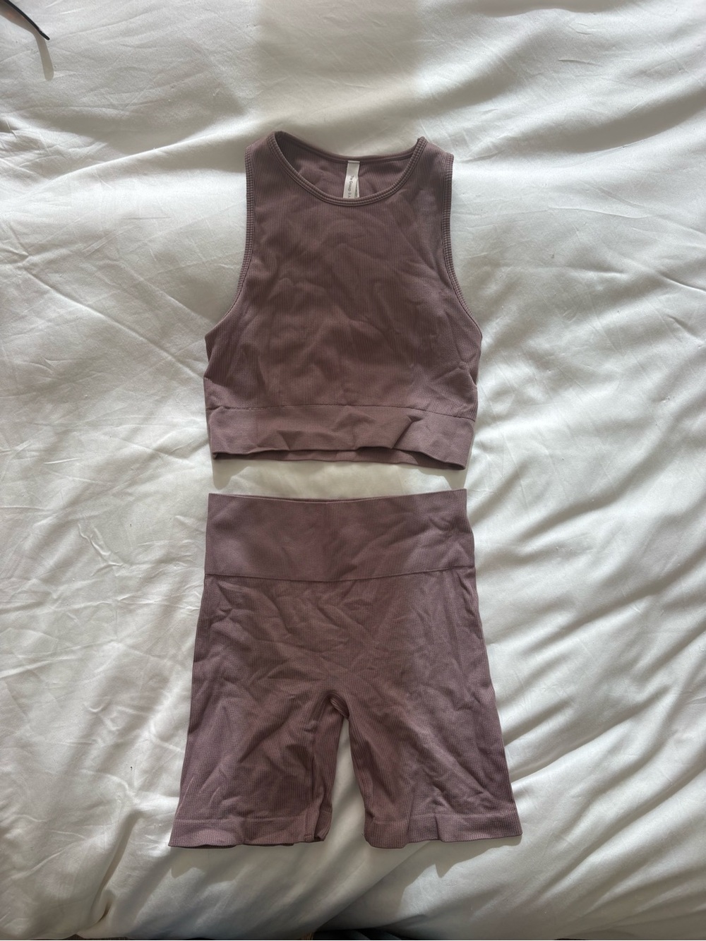 Aritzia Women’s Seamless Cropped Tank and Bike Shorts Set — Dusty Mauve